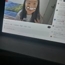 장모님주유소앞(커브길까지) | [🇦🇹 D+3] 한국 워홀비자 신청하러 비엔나 당일치기(feat. 실망스러웠던 비엔나 한국문화원, 린츠 아시안...
