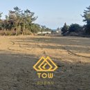 표선리-1 이미지