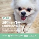 10월20일 제주 ➡️김포 아시아나, 대한항공을 이용하시는분의 도움이 필요합니다!! 이미지