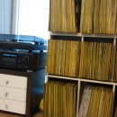 민가바다장어 이미지