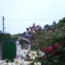 장석례민박 이미지