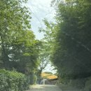 (주)땡큐파머스 | 김포 범바위포레스트 C22