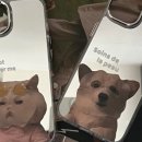 케이스펙 이미지