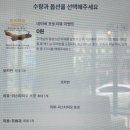 더콤마(The Comma)