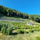 한울목장 이미지