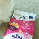 (주)내추럴발란스코리아 | 고양이 사료 추천-내추럴발란스 캣 고양이 사료 울트라 프리미엄 WHO 닭&amp;연어