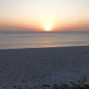 솔바람 파도소리 이미지