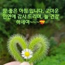카펫코리아 협동조합