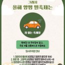 🌾 이번 주말 아이랑 어디 갈까? 작년에 다녀오고 또 가고 싶은 양평 밀축제 후기 &amp; 방문 꿀팁