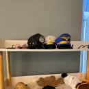 개떼월드 이미지