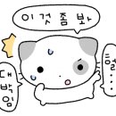 사루각20