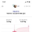 하루멍멍 이미지