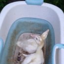 만회농장 이미지