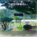 꽃뫼 | 꽃뫼카페 휴게소 후기💚 (고삼 호수 맛집, 안성 브런치 카페)