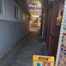 증평초등학교 정문 앞 인도 | 혜화 대학로 맛집 인도 이란 음식 25년 전통 카레 전문점 페르시안 궁전 방문 후기