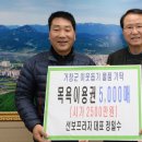 선보프라자 이미지