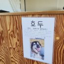 안면도무지개레포츠 이미지