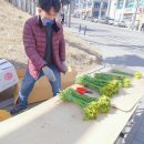 꽃파는아저씨