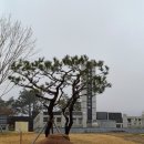 암태도소작인 항쟁기념탑 | 1004섬 신안 암태도 소작인 항쟁기념탑 (남하부엌) 2024