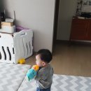 코즈이비인후과의원 네이버블로그