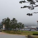 속초시청 이미지