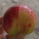 완주 모악산 등산 후 소고기 맛집 모악산 소야 방문 후기