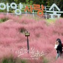 아양사랑숲 이미지