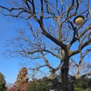 노산어린이공원 이미지