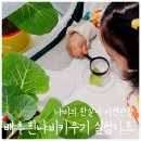 다희농장 네이버블로그