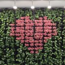 송광농장 이미지