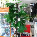 눈짱안경원 이미지