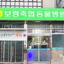 보령축협 동물병원 이미지