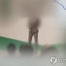금조아트