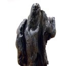 장군석 이미지