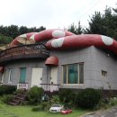 버섯스머프펜션] 서울근교 1박2일 여행 후기, 바베큐파티, 강아지와 고양이가 있는 귀여운 버섯 모양 펜션