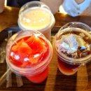 태국 치앙마이 자유여행 코끼리체험 엘리핀팜 Elefin farm &amp; Cafe 반일 택시투어 후기