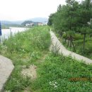 백마농장3 이미지