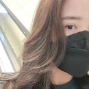 먼스프로미스헤어 이미지