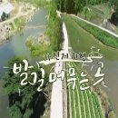 새로라이프