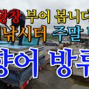 마정 Daum카페