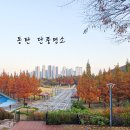 노작호수공원 | 동탄 데이트 코스 센트럴파크 노작공원 가을 단풍 명소 강아지 주말 여행지 BEST3