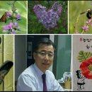 신명약국 이미지