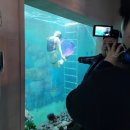 로그인제주