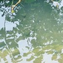 오월(5월) 이미지