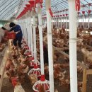 이화펜션 이미지