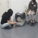 댕댕아 학교가자 이미지