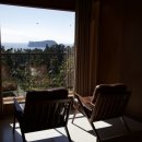 아누캄파(ANUKAMPA) 이미지