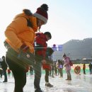 물반고기반 화천어 축제 이미지