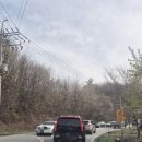 수양회관 | 거창 수양벚꽃길 임불마을 방문후기 드라이브코스추천