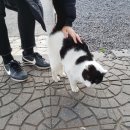 미로상회 이미지